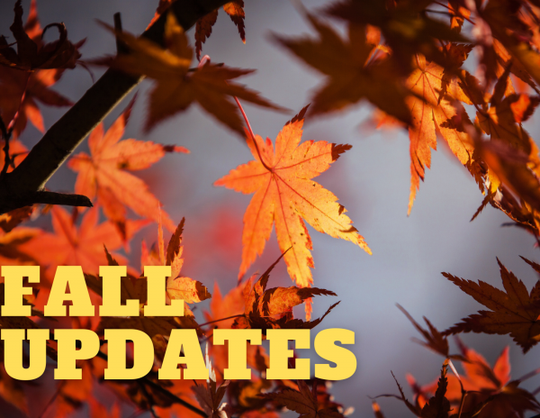 Fall Updates